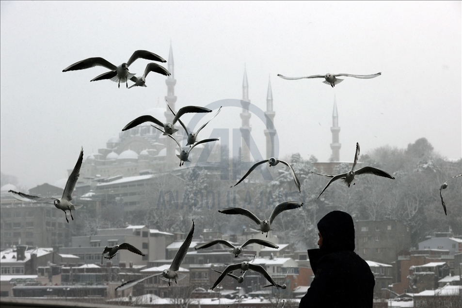 Snowfall in Istanbul