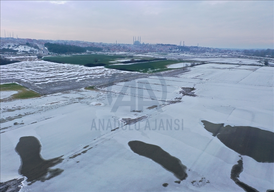 Edirne'de soğuk hava nedeniyle nehir kenarındaki tarlalar buz tuttu