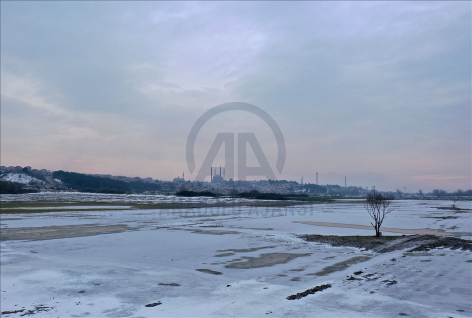Edirne'de soğuk hava nedeniyle nehir kenarındaki tarlalar buz tuttu