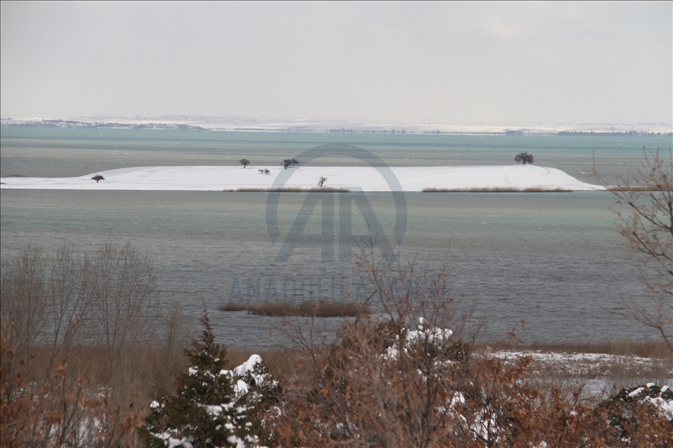 بارش برف جزایر دریاچه بی‌شهیر را سفیدپوش کرد