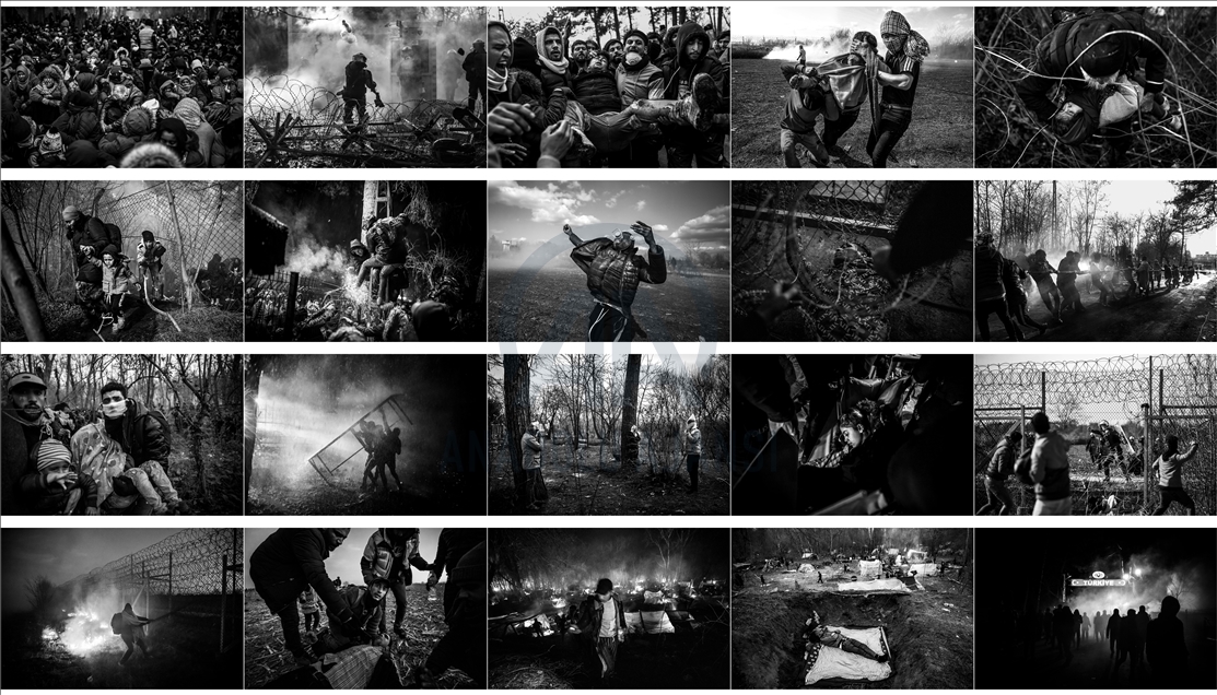 دریافت جایزه مسابقات بین‌المللی عکس POY توسط عکاسان خبرگزاری آناتولی  