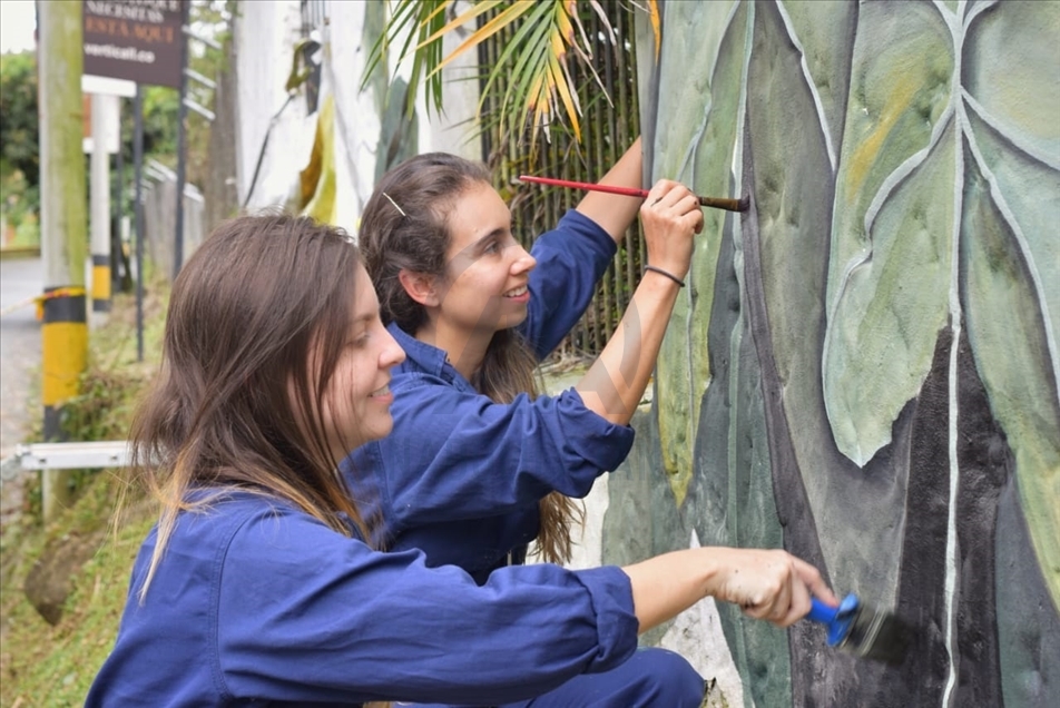 Las chicas que pintan, artistas colombianas surgidas con trazos de talento durante la pandemia