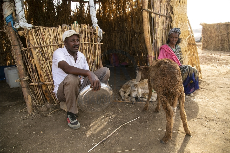 Etiyopya'daki çatışmalar nedeniyle Sudan'a sığınanların zorlu yaşam mücadelesi