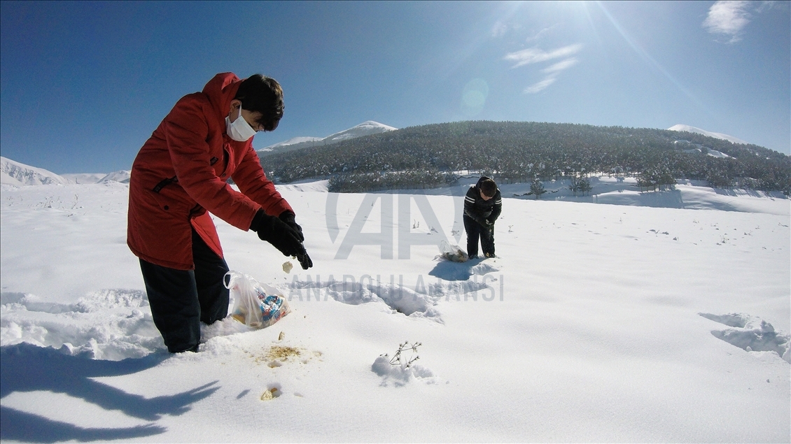 Erzurumlu minik kardeşler, zorlu kış şartlarında yabani hayvanlar için atık ekmek topluyor