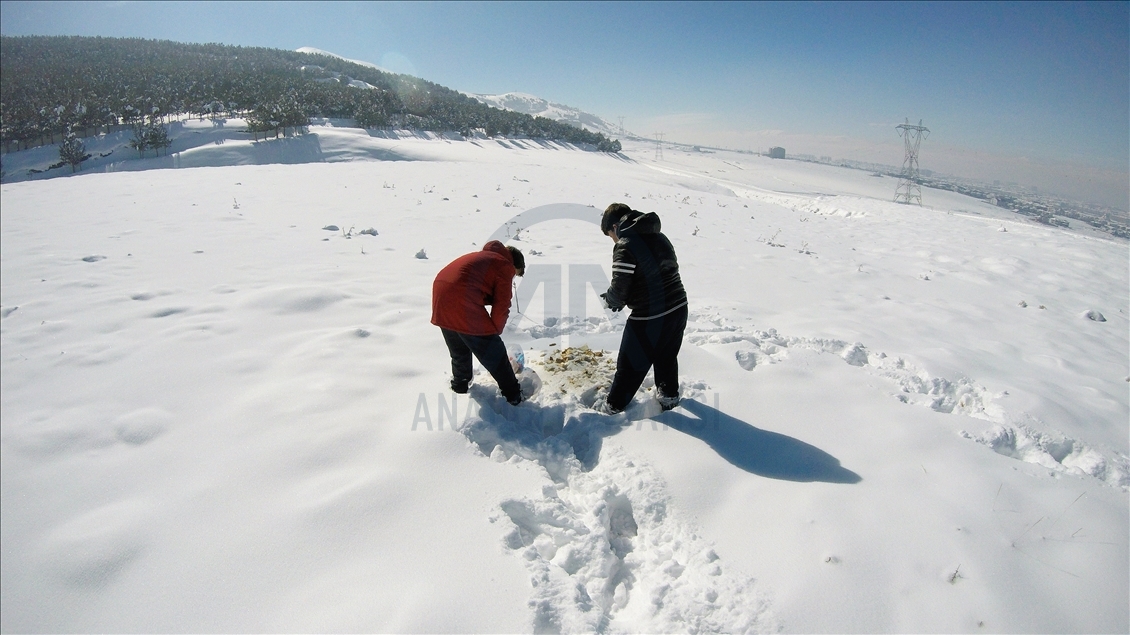 Erzurumlu minik kardeşler, zorlu kış şartlarında yabani hayvanlar için atık ekmek topluyor