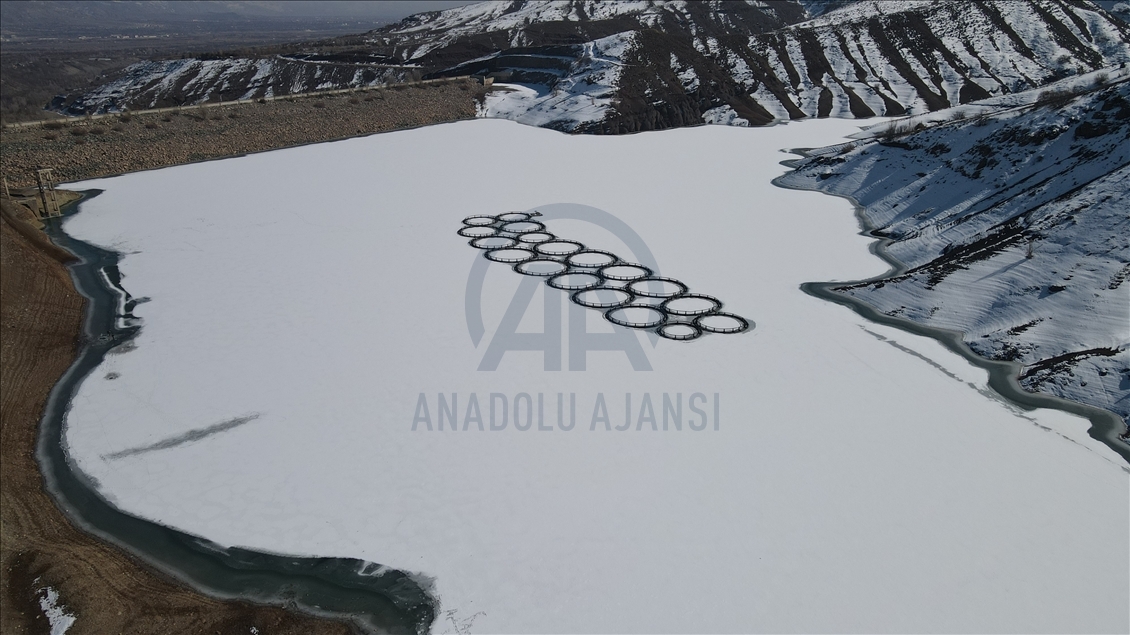 Erzincan'daki Göyne Sulama Barajı soğuk havanın etkisiyle dondu