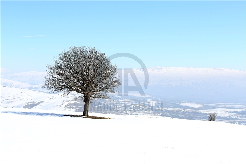 Winter in Turkey’s Mus