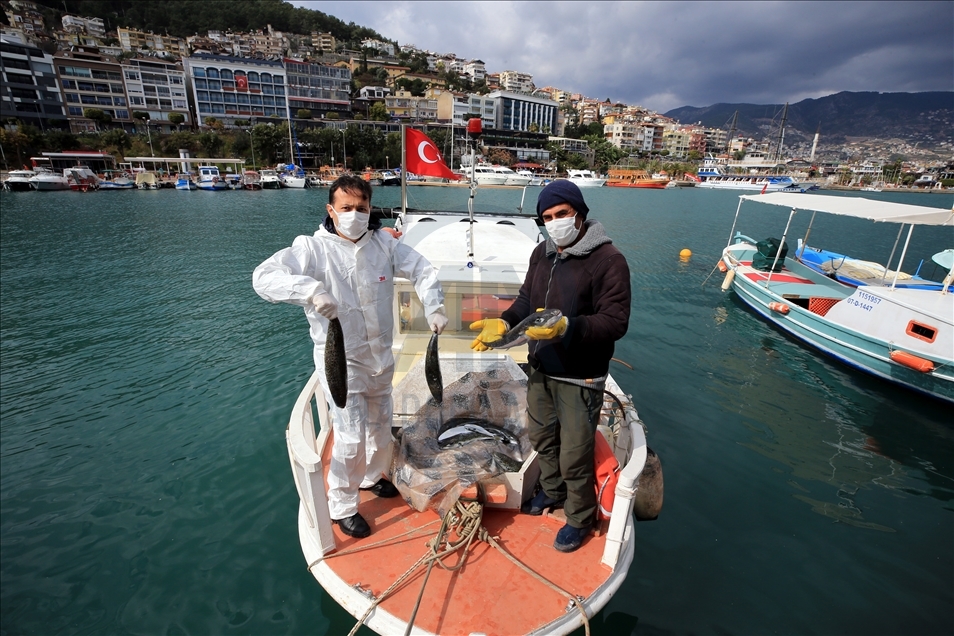İki girişimci, balon balığını deri sektöründe kullanmaya hazırlanıyor