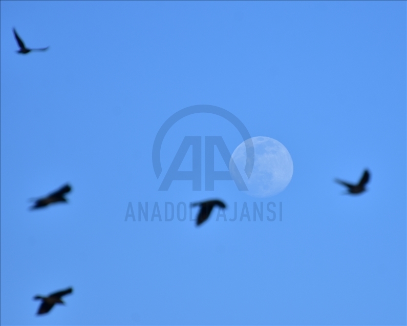 Bingöl'de akşam