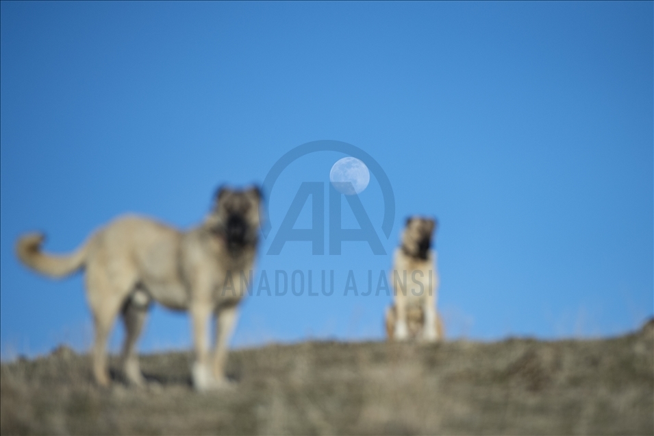 Tunceli'de akşam