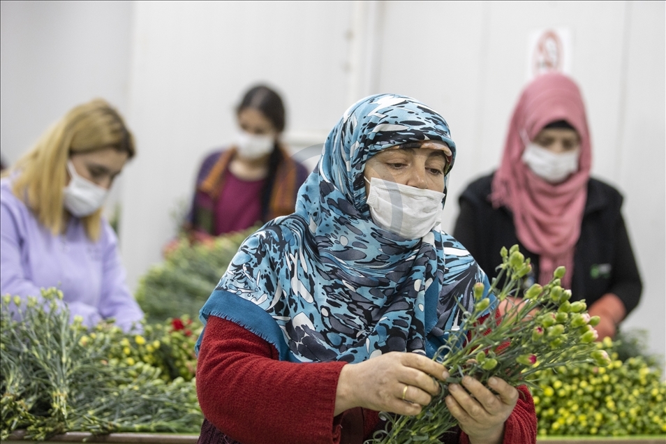 صادرات تركيا من الأزهار تنمو 19 بالمئة