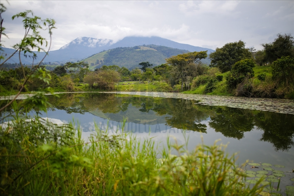 Chinácota, el pueblo de Colombia que le apuesta al turismo ambiental y cultural