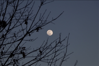 Full Snow Moon in New Jersey