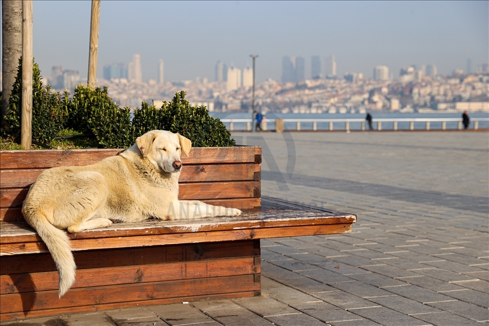 İstanbul'da sokağa çıkma kısıtlaması