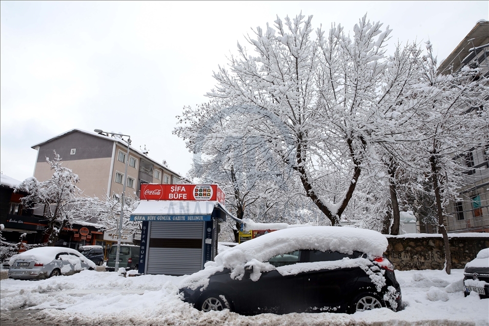 Muş'ta kar yağışı
