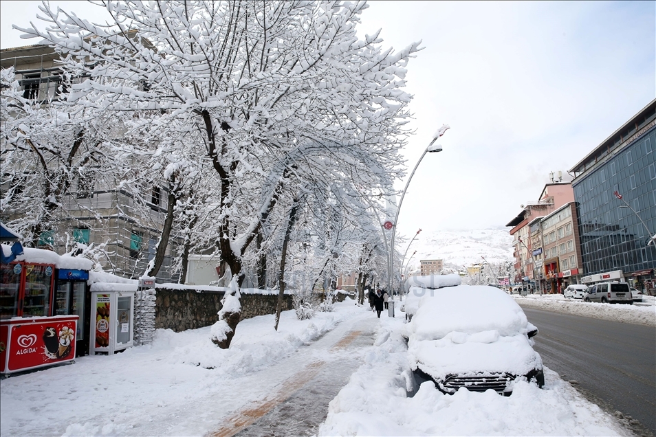 Muş'ta kar yağışı