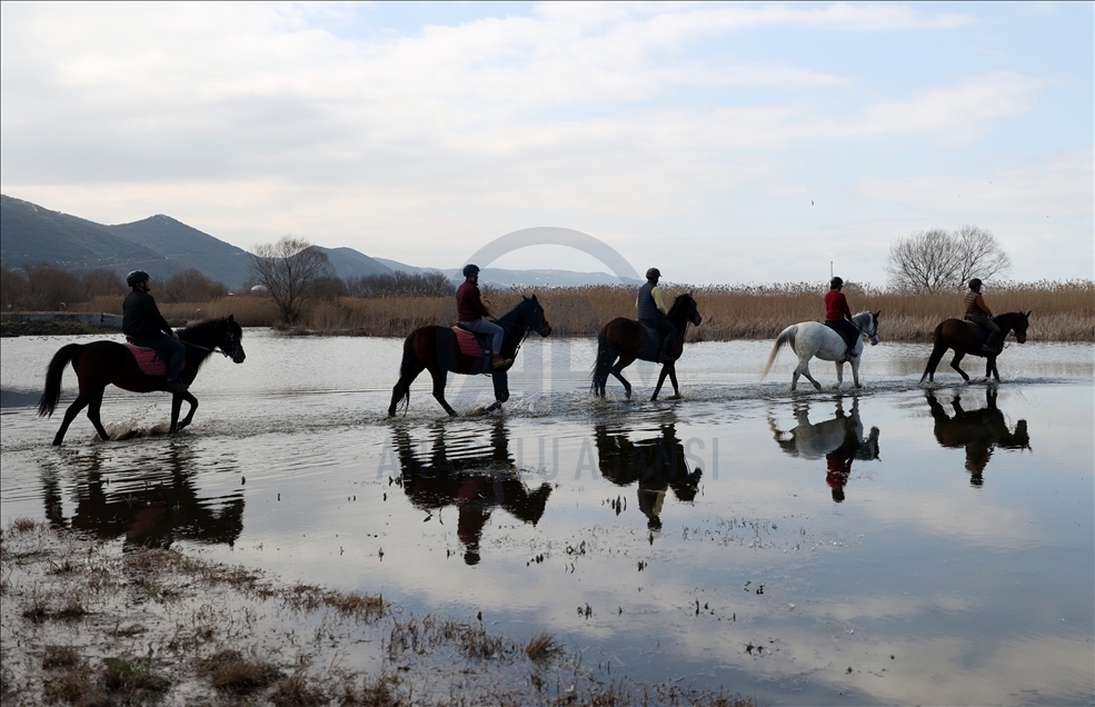 Turquie : A la découverte de la nature à Bursa à cheval
