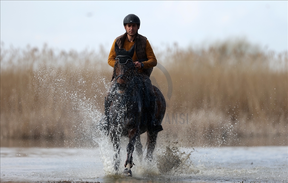 على ظهور الخيول.. جولات لاستكشاف الطبيعة في بورصة التركية