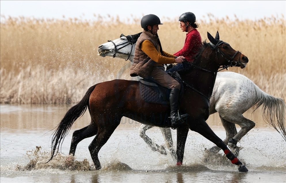 Turquie : A la découverte de la nature à Bursa à cheval