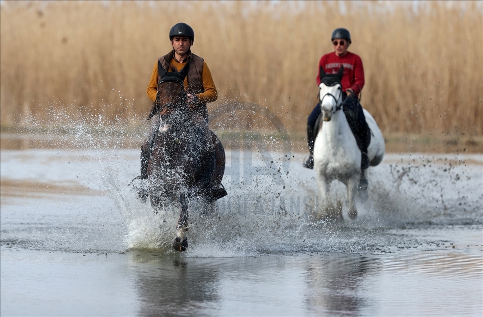 على ظهور الخيول.. جولات لاستكشاف الطبيعة في بورصة التركية
