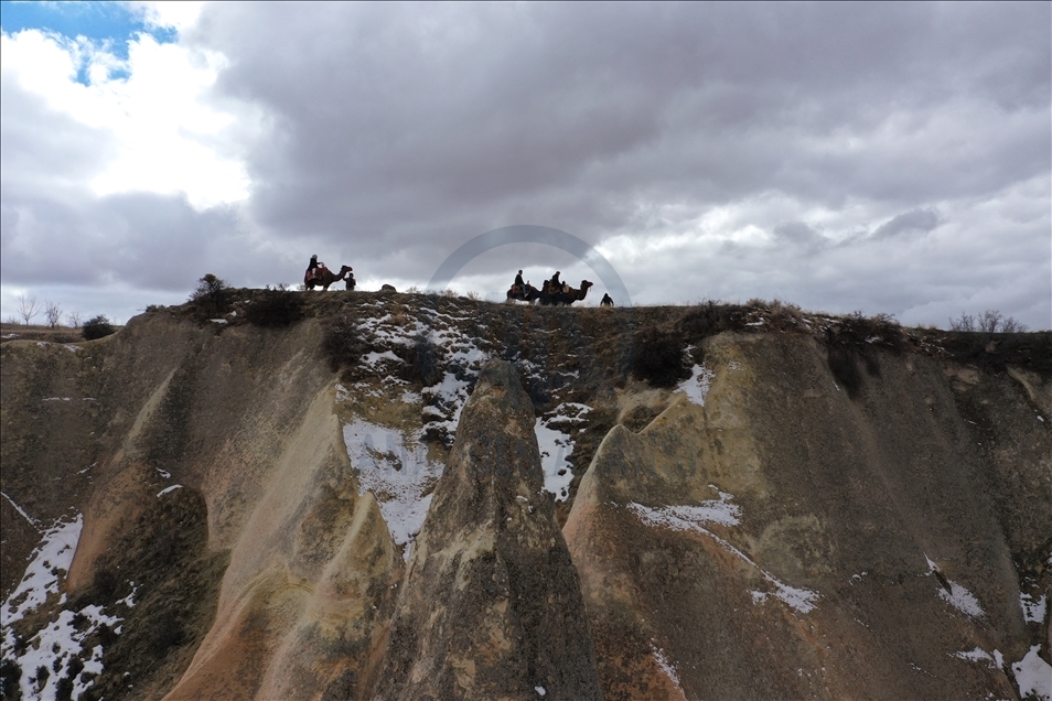 Туры на верблюдах в Каппадокии пользуются особой популярностью