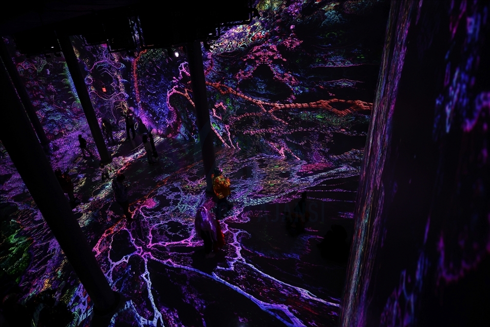 New York'taki ARTECHOUSE sanat merkezi görsel-işitsel sergi için kapılarını ziyaretçilere açtı