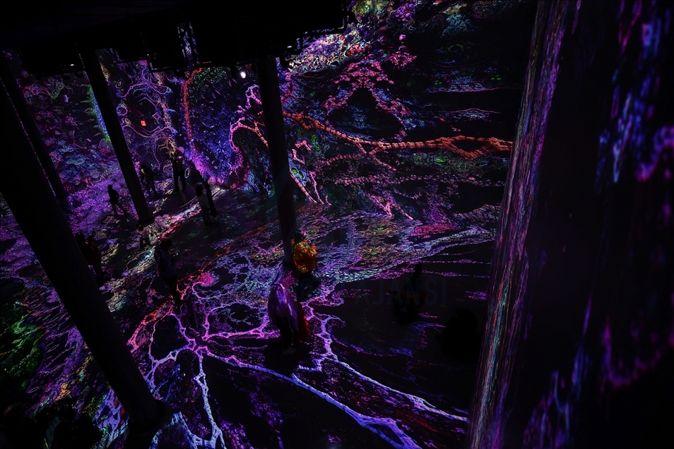 ARTECHOUSE opens its visitors with the immersive audio-visual exhibition in NYC 