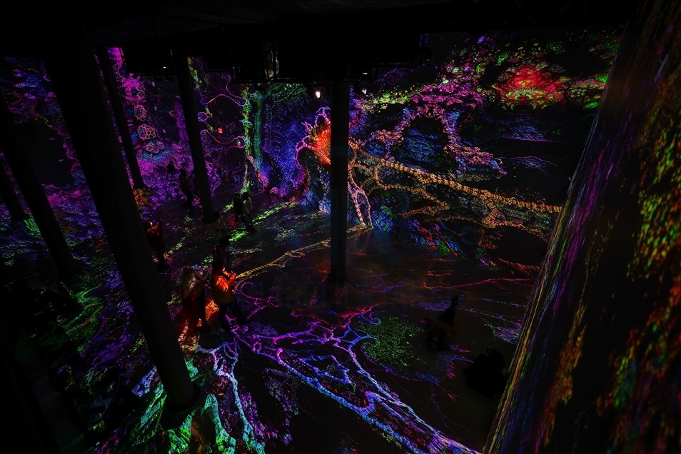 New York'taki ARTECHOUSE sanat merkezi görsel-işitsel sergi için kapılarını ziyaretçilere açtı