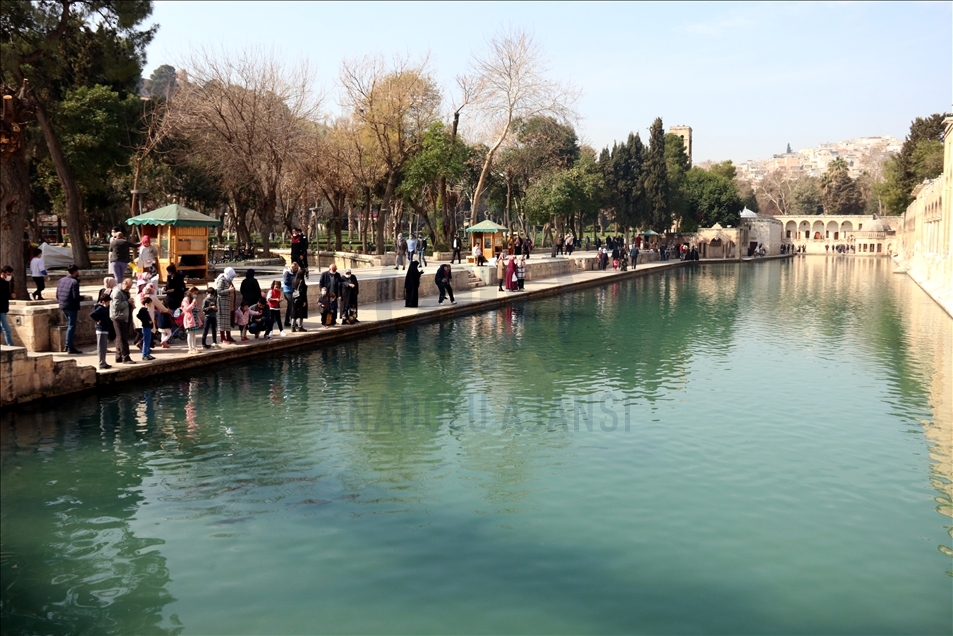 Şanlıurfa'da cadde ve sokaklarda hareketlilik yaşandı