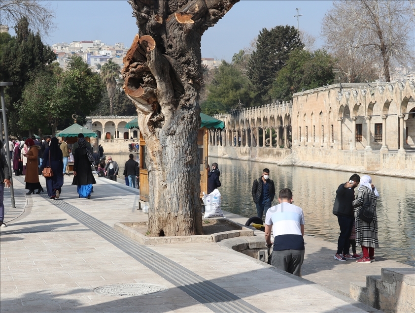 Şanlıurfa'da cadde ve sokaklarda hareketlilik yaşandı