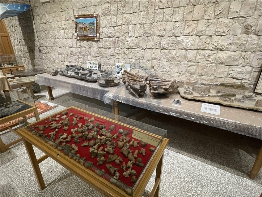 "الشيخ فيصل" في قطر.. من متحف شخصي لمعلم سياحي