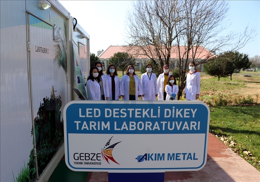Kocaeli'de konteynerde dikey tarımla bitki verimi 10'a katlandı