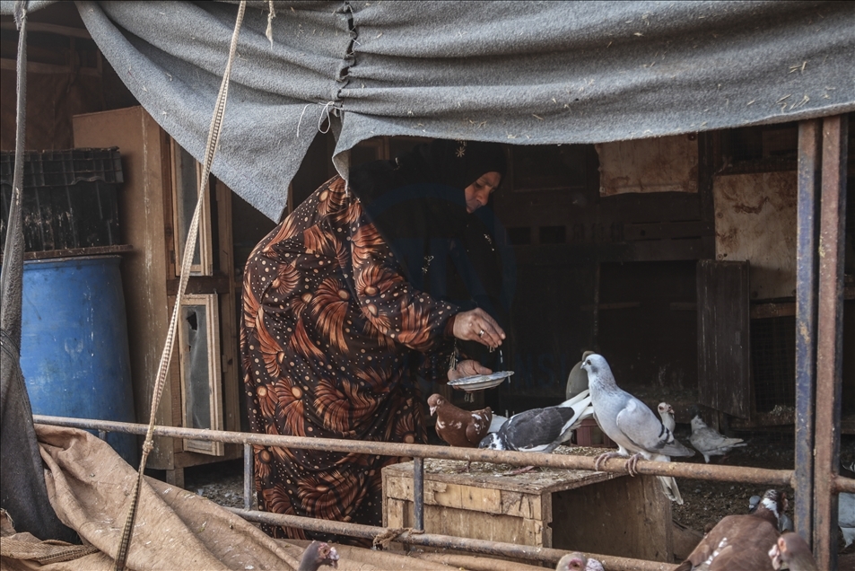 Syrie : Sa passion pour les pigeons l’aide à amenuiser la douleur de la perte de ses enfants