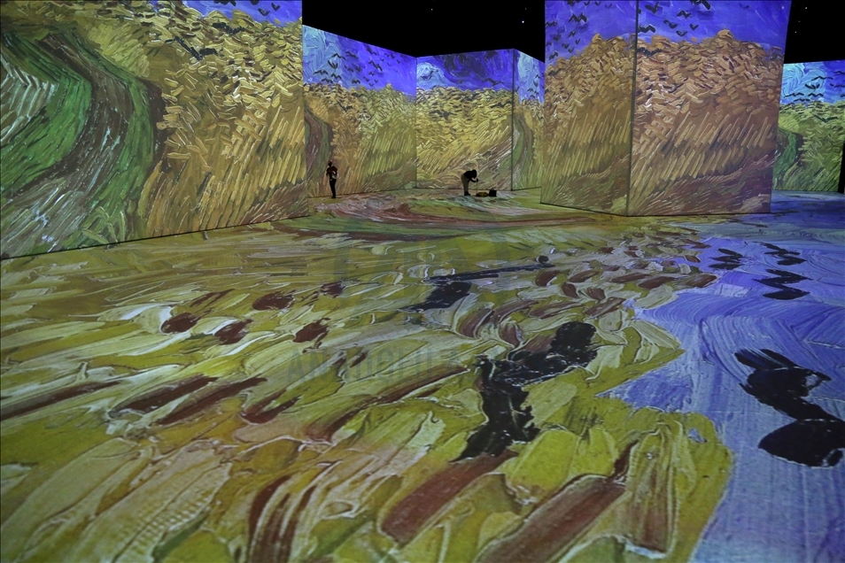 Imagine Van Gogh - The Immersive Exhibition