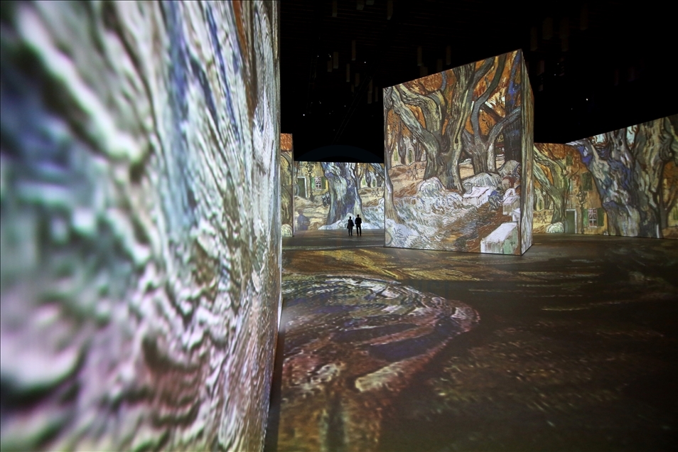 Imagine Van Gogh - The Immersive Exhibition