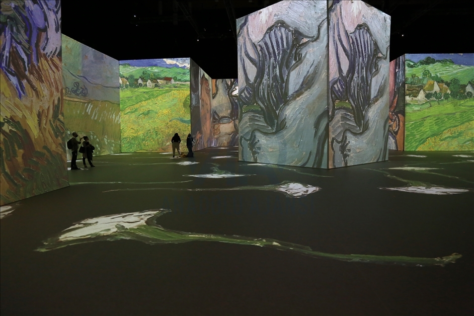 Imagine Van Gogh - The Immersive Exhibition