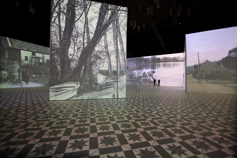 Imagine Van Gogh - The Immersive Exhibition