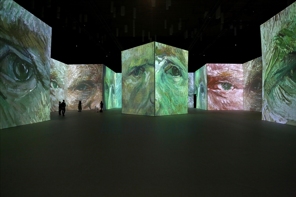 Imagine Van Gogh - The Immersive Exhibition