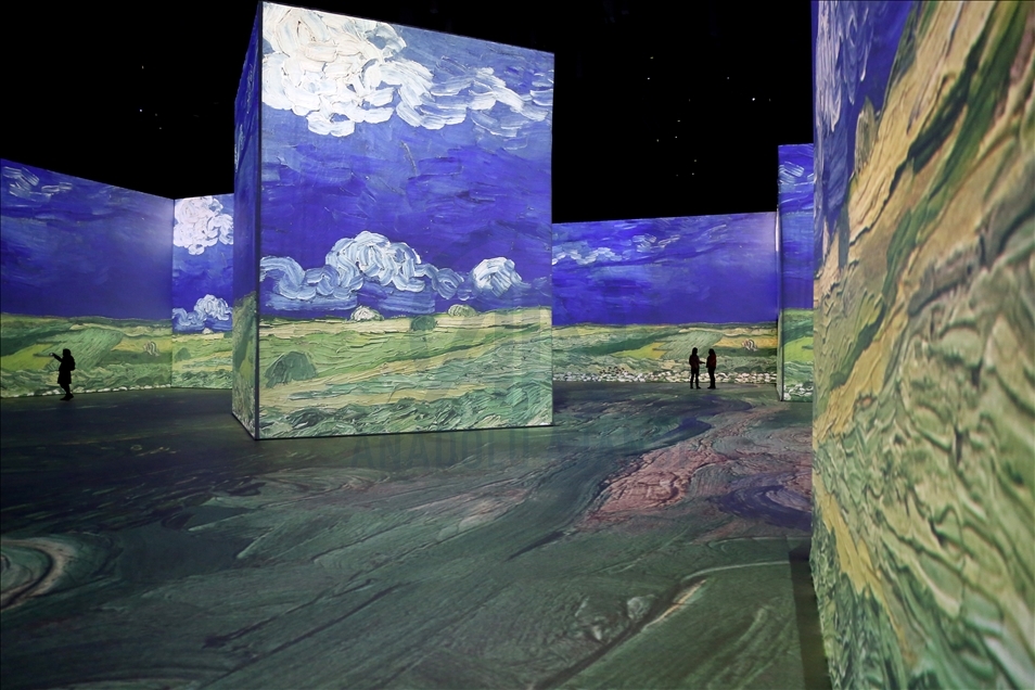 Imagine Van Gogh - The Immersive Exhibition