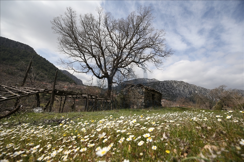 Antalya'nın tarihi "düğmeli evleri" özgün mimarisiyle hem yaşayanı hem de ziyaretçisini mutlu ediyor