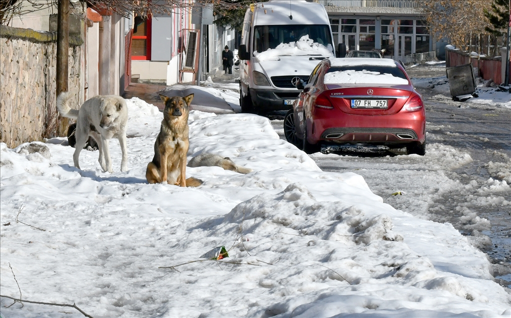 Kars'ta kış