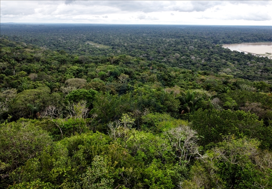 River Dolphins and thousands of species of birds, natural wonders at the door of the Colombian Amazon