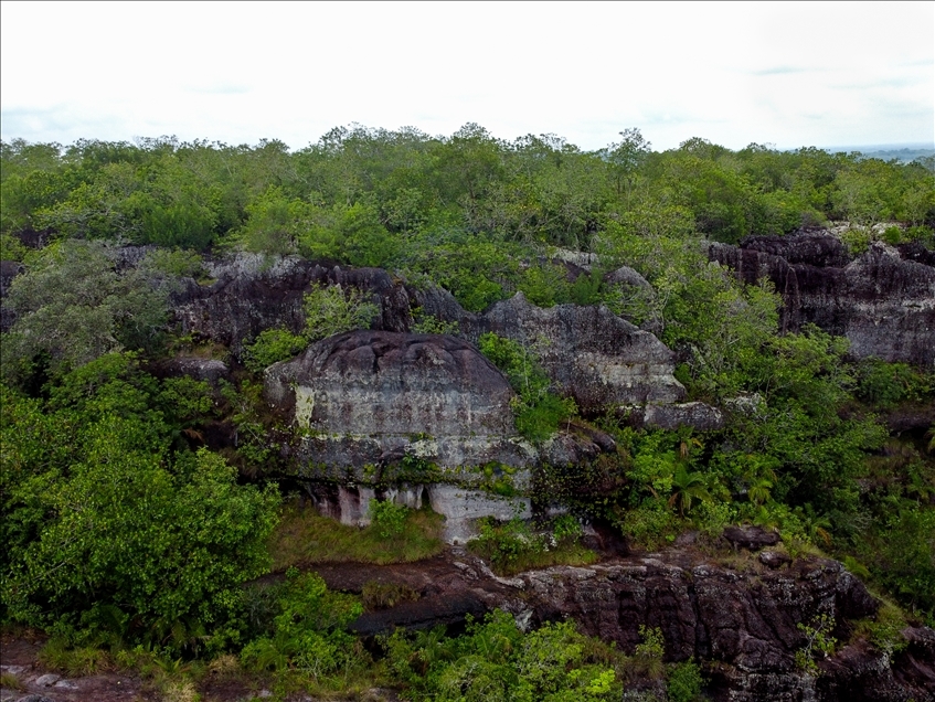 Colombia's jungle: El Guaviare, The Orion's Gate 