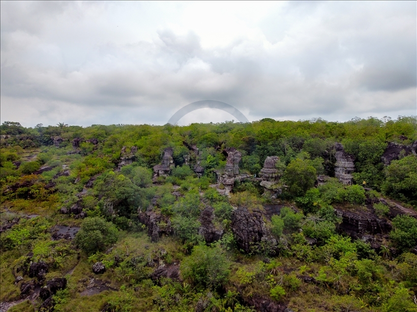 Colombia's jungle: El Guaviare, The Orion's Gate 