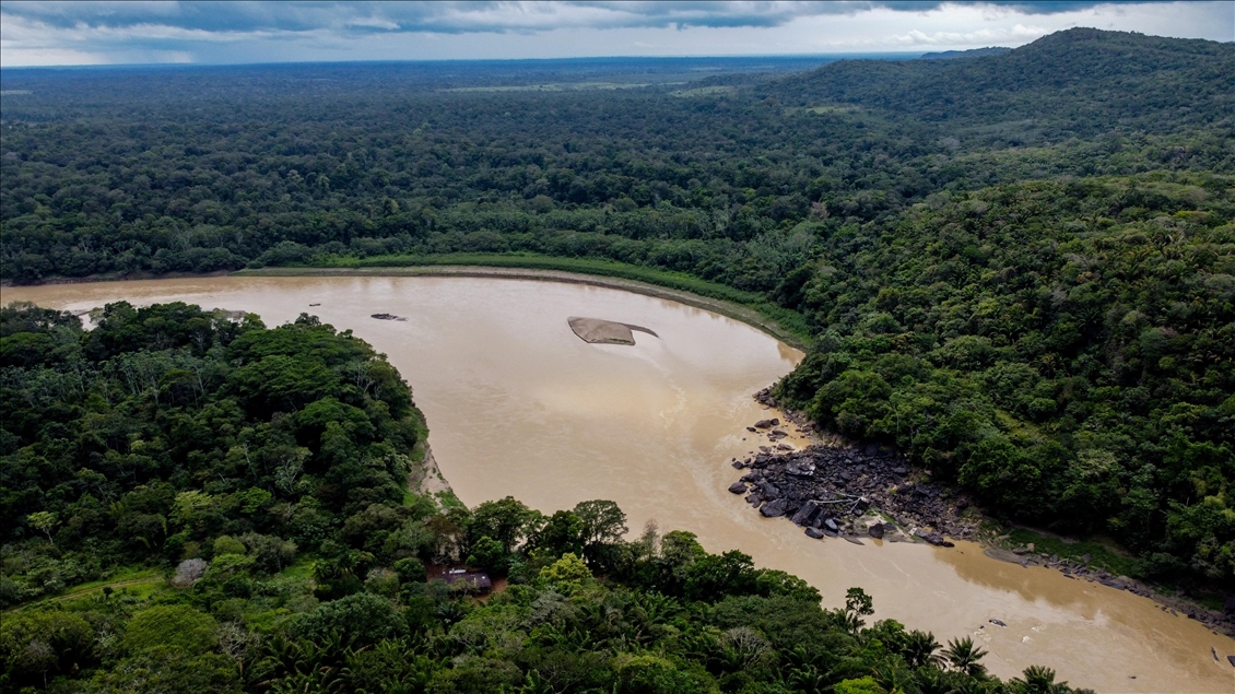 River Dolphins and thousands of species of birds, natural wonders at the door of the Colombian Amazon