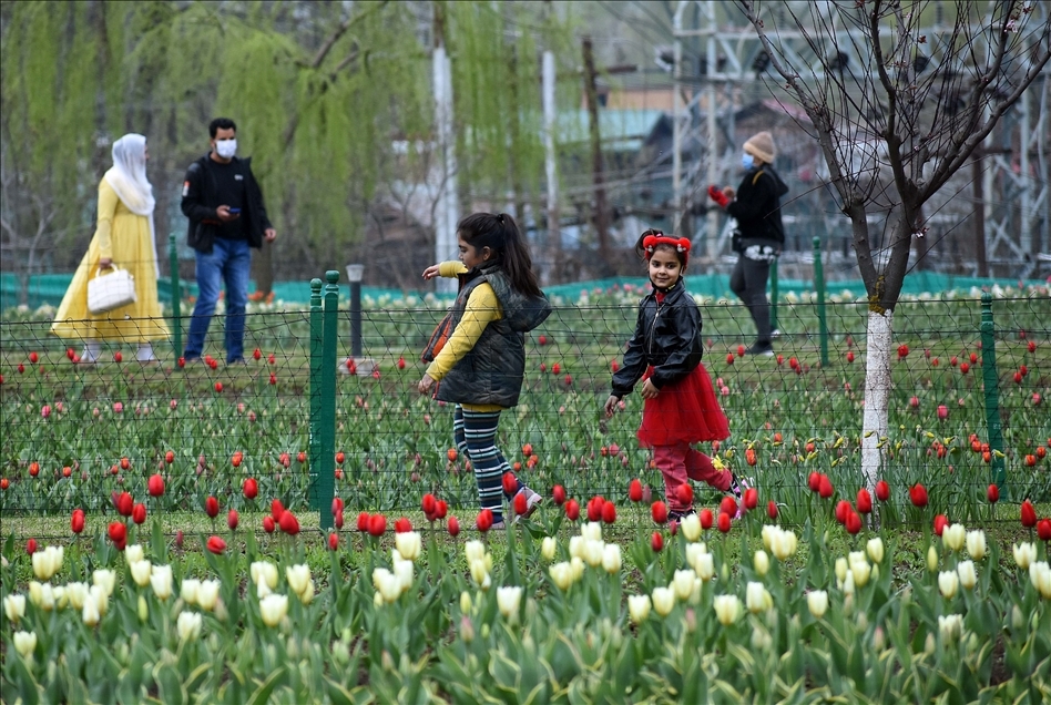 Taman Tulip terbesar Asia dibuka di Kashmir