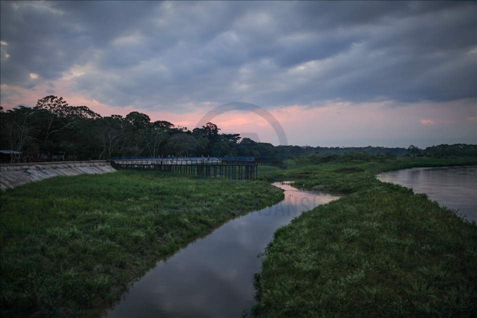 Colombia's jungle: El Guaviare, The Orion's Gate 