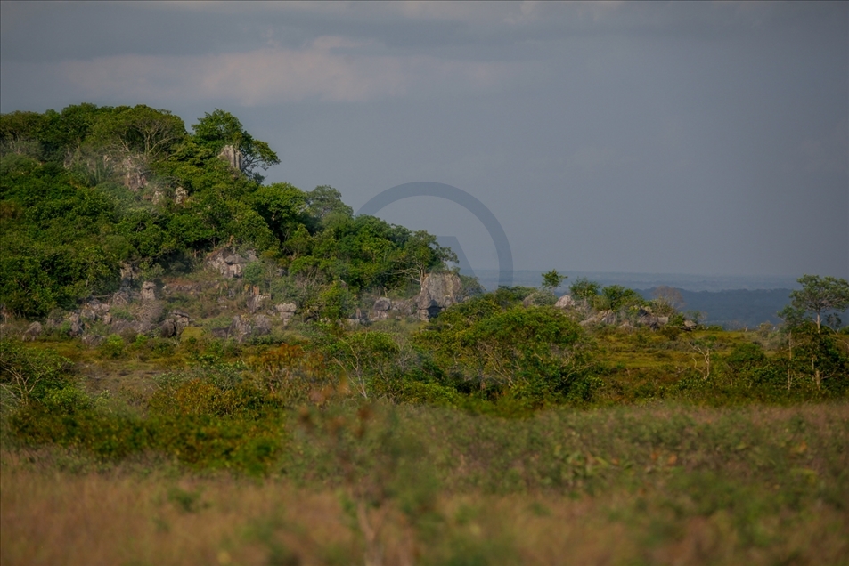 La ciudad de piedra del Escudo Guayanés, en la puerta de la Amazonía colombiana