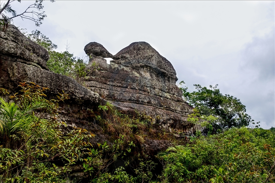 Colombia's jungle: El Guaviare, The Orion's Gate 