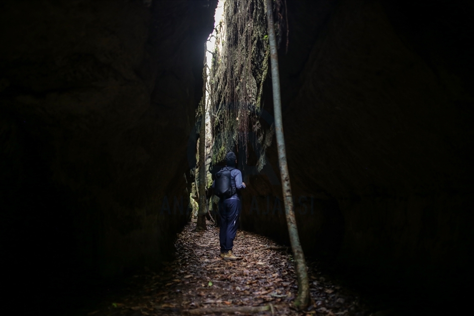 La ciudad de piedra del Escudo Guayanés, en la puerta de la Amazonía colombiana
